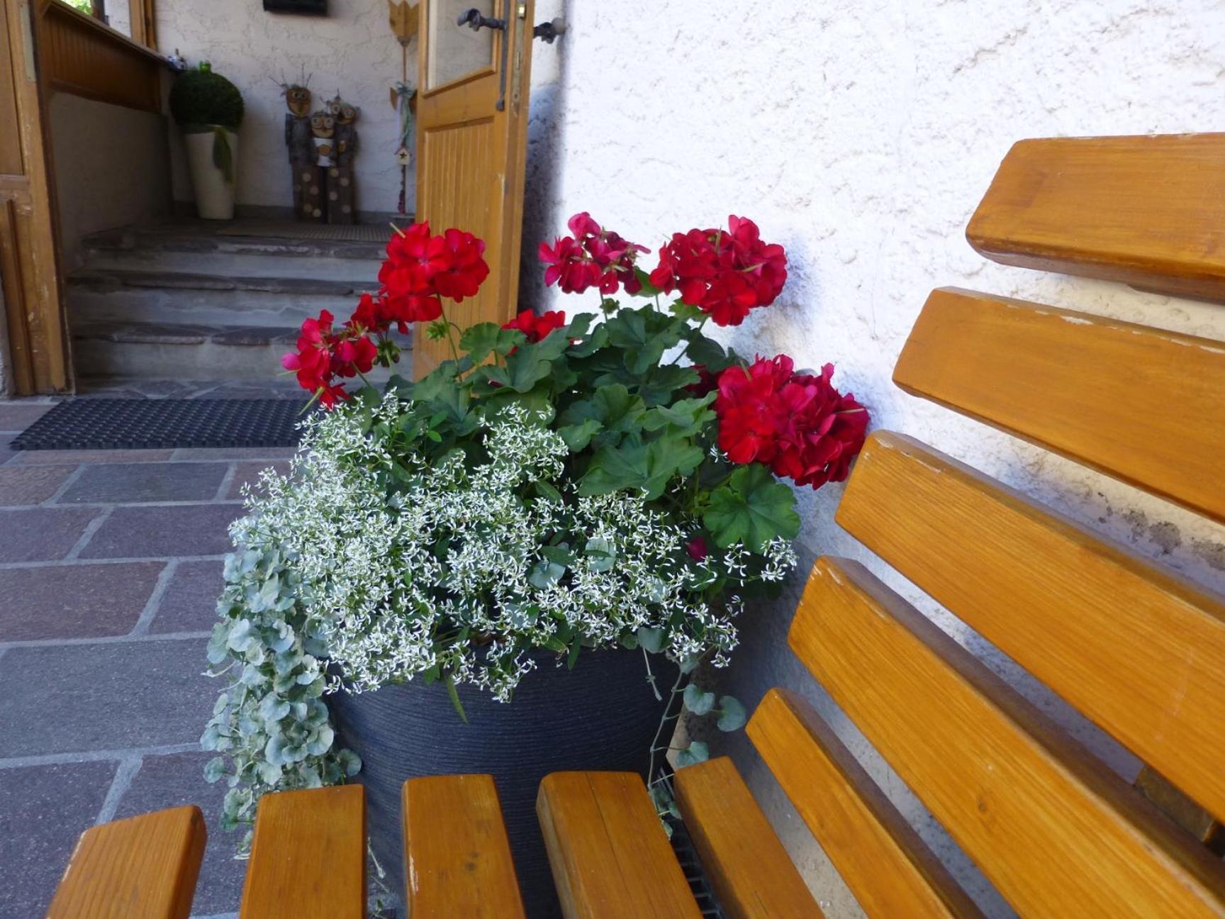 Bed and Breakfast Garni Helfer Toblach Exterior foto