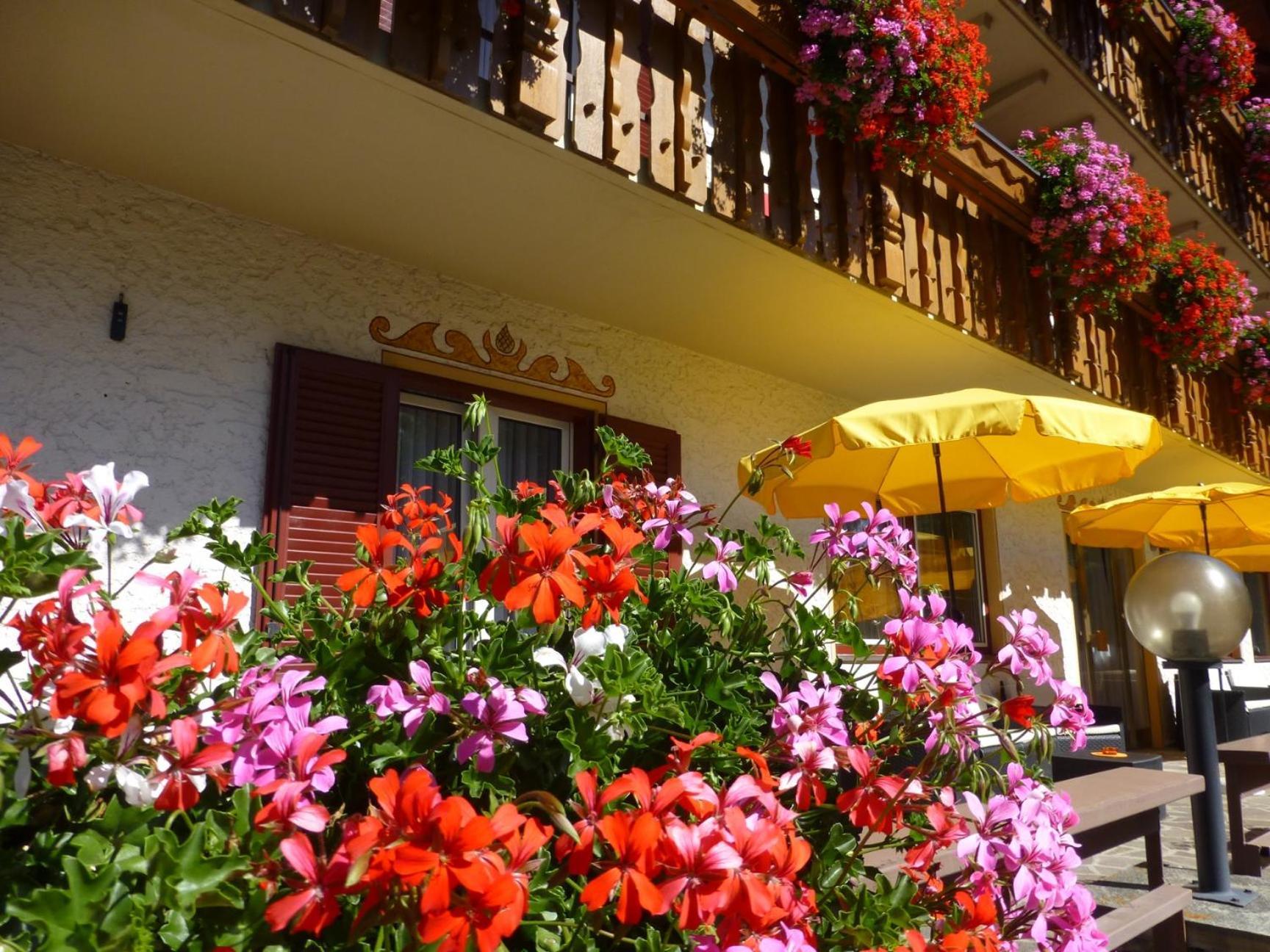 Bed and Breakfast Garni Helfer Toblach Exterior foto