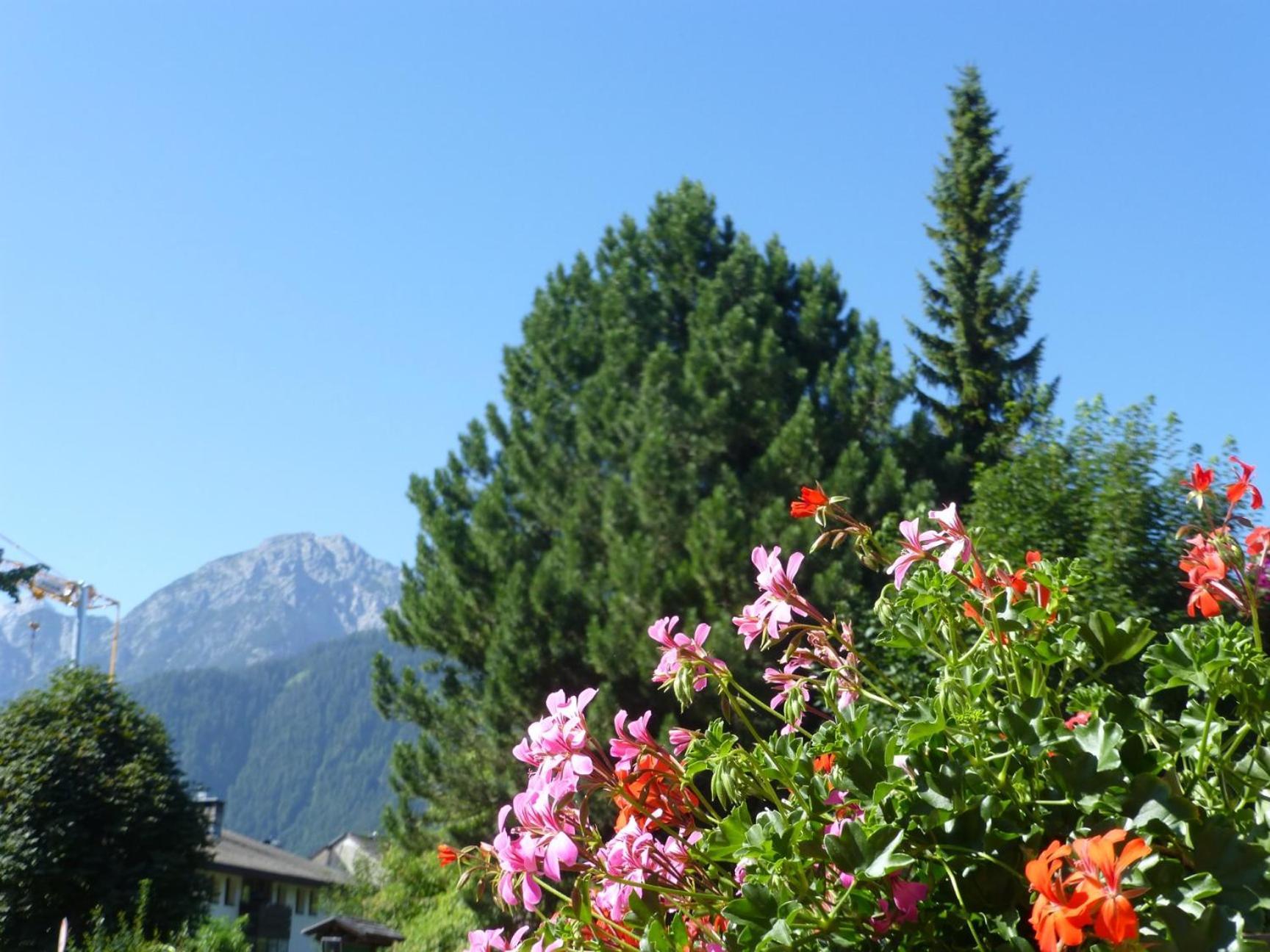 Bed and Breakfast Garni Helfer Toblach Exterior foto